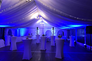 Projecteur intérieur