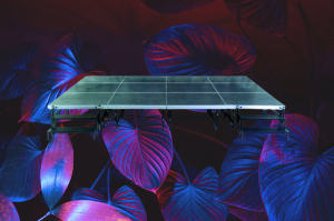 Location Structure et Scène